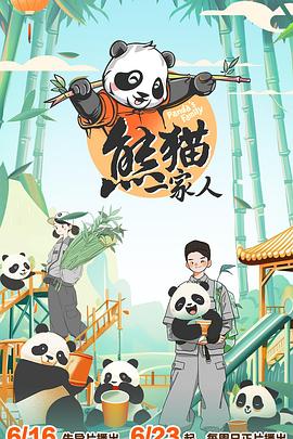 无秩序青春