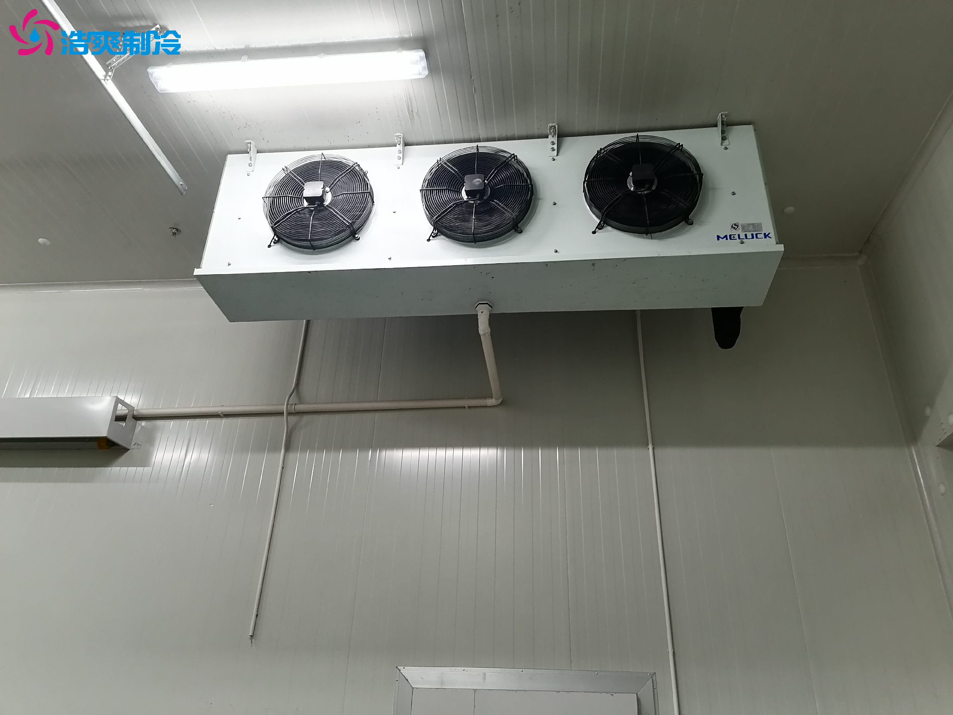 GSP認(rèn)證 藥品疫苗試劑醫(yī)藥冷庫定制化設(shè)計(jì)安裝 GSP認(rèn)證 藥品疫苗試劑醫(yī)藥冷庫定制化設(shè)計(jì)安裝