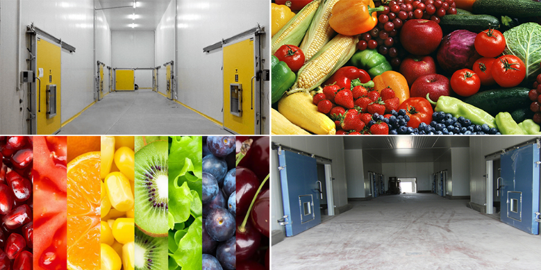 氣調(diào)保鮮庫(kù) 大中型果蔬冷藏庫(kù)安裝 冷庫(kù)定制安裝 氣調(diào)保鮮庫(kù) 大中型果蔬冷藏庫(kù)安裝 冷庫(kù)定制安裝