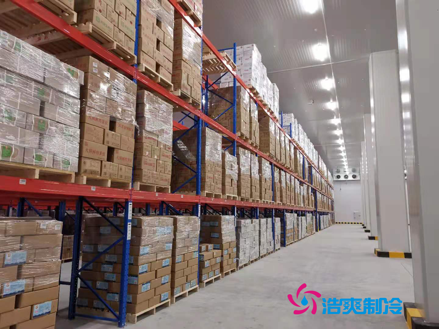 建造物流倉儲自動(dòng)化冷庫 自動(dòng)化立體冷庫設(shè)備 