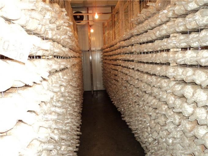 建一個100平方香菇冷庫全套要多少錢？