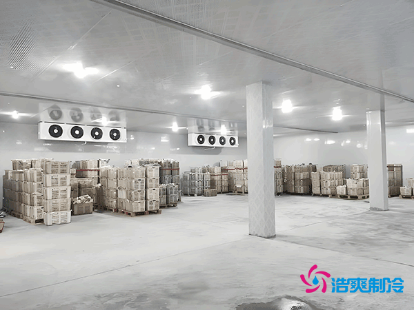 低溫冷凍庫造價(jià)指南，如何精準(zhǔn)預(yù)算冷凍庫建造成本？