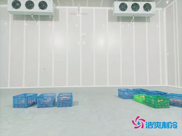 200噸蔬菜保鮮冷庫(kù)造價(jià)多少錢？需要多大面積？