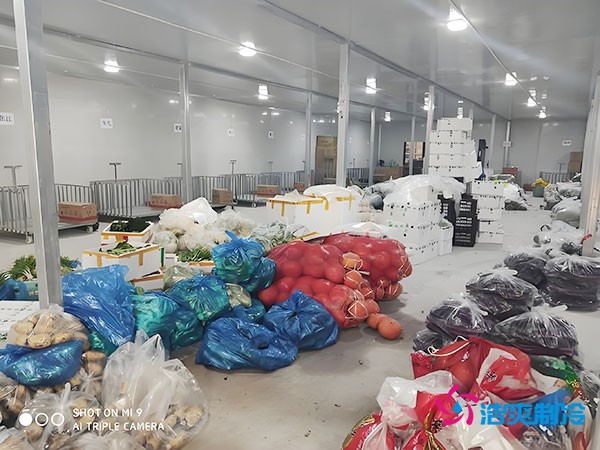 5000平方米果蔬保鮮冷庫造價