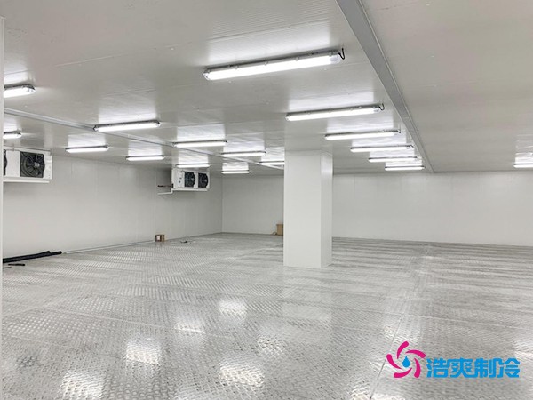 建造200噸冷凍肉低溫冷庫(kù)的造價(jià)詳解