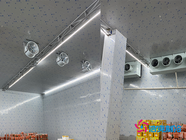 2000平冷庫造價揭秘：這些因素讓你多花幾十萬！