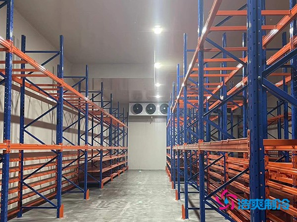 建中型冷庫要花多少錢？這些關(guān)鍵因素你必須知道-浩爽制冷
