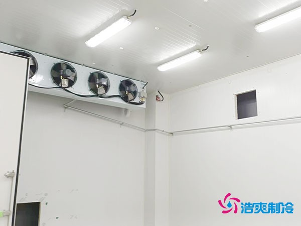 上海小型冷庫造價揭秘！2萬起真的靠譜嗎？