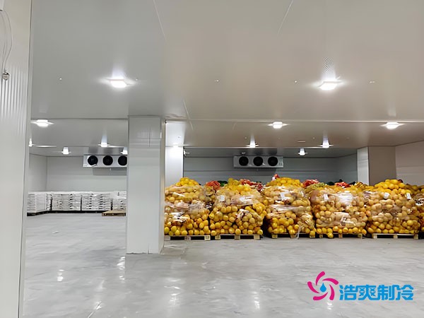 20噸玉米如何長期保鮮？冷庫造價大揭秘！