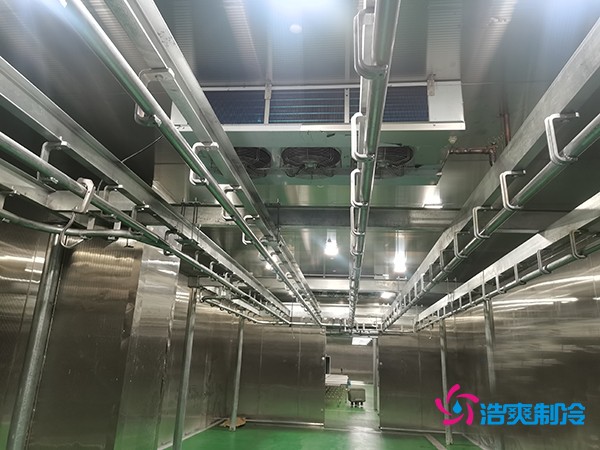 肉類冷庫建造費(fèi)用及設(shè)計(jì)解析