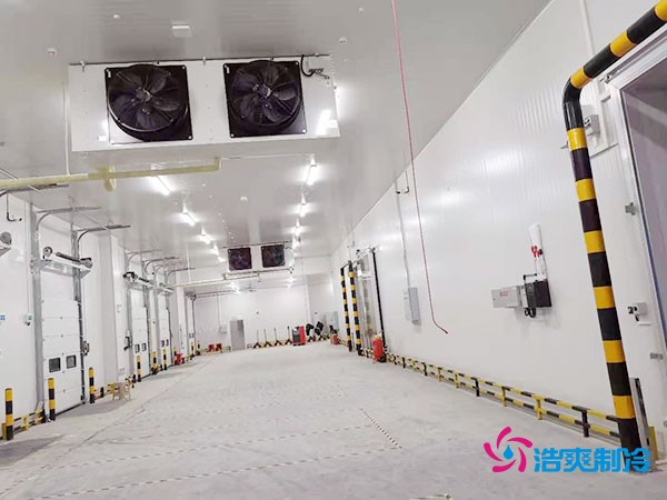 建設(shè)冷凍庫(kù)每平米造價(jià)多少錢(qián)？冷凍庫(kù)造價(jià)關(guān)鍵因素解析