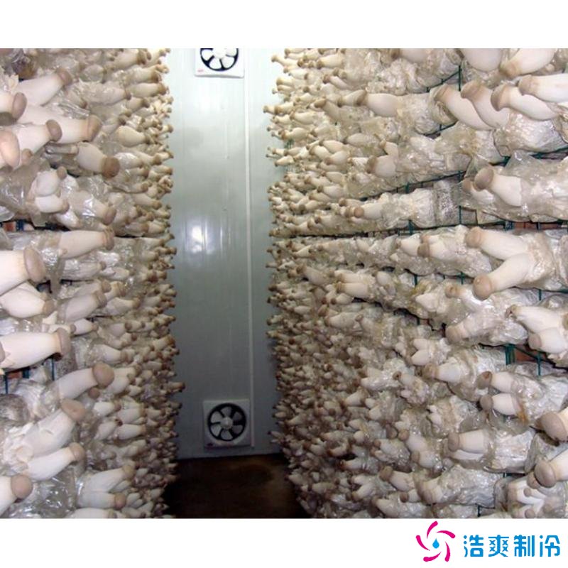 蘑菇冷庫(kù)建造成本多少錢，蘑菇冷藏方法哪些