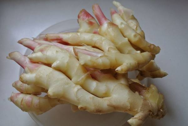 3000噸鮮姜冷庫前期規(guī)劃，冷庫造價預(yù)算多少