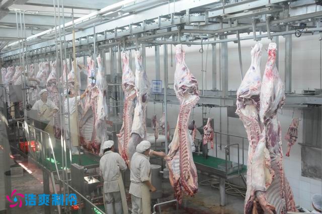 1000平米高5米冷凍庫