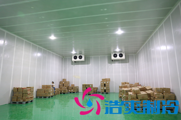 上海藥廠建造-20℃醫(yī)藥血漿冷庫,超低溫血漿冷庫定制預(yù)算多少