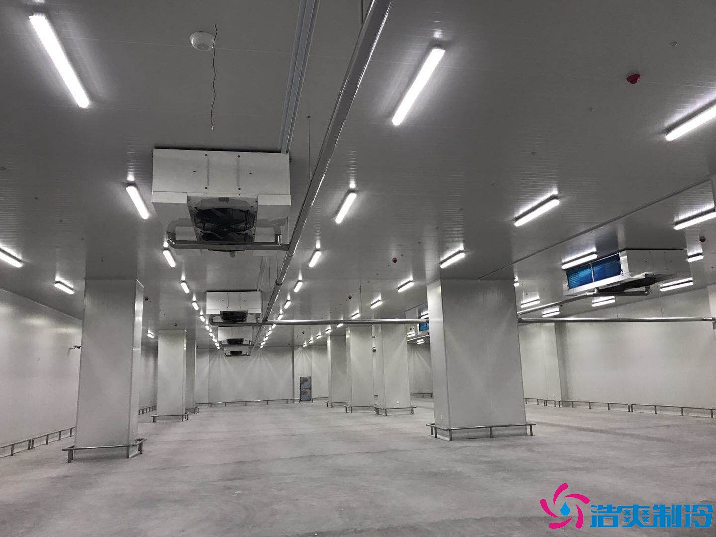 2000平米生鮮食品物流冷庫（生鮮冷鏈倉儲）冷庫報(bào)價(jià)