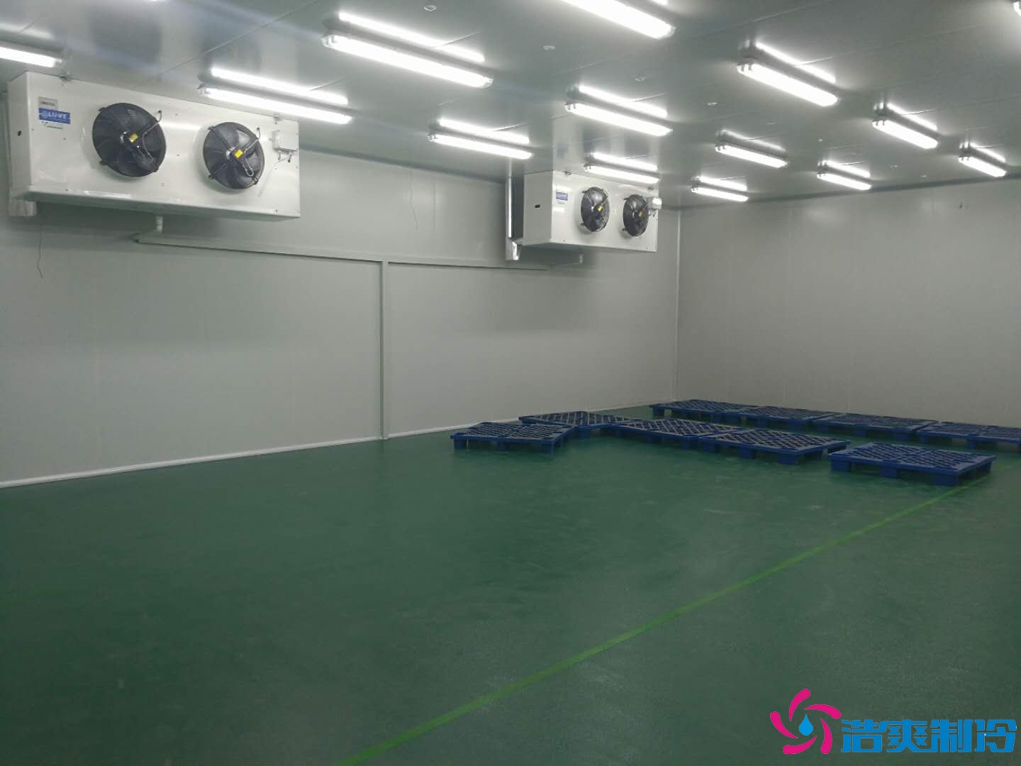 沈陽三生制藥3000平米低溫（冷凍、冷藏）醫(yī)藥物流冷庫工程案例