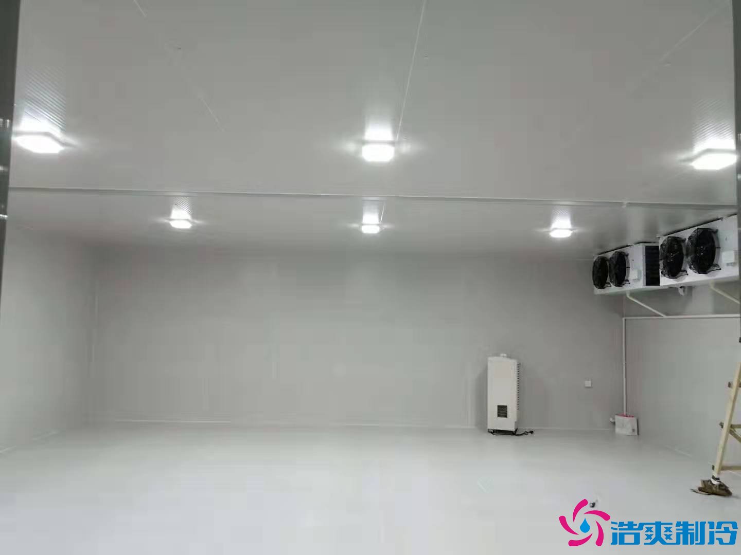 上?；蛏?000m3生物制品冷庫（冷凍、冷藏）新建工程案例