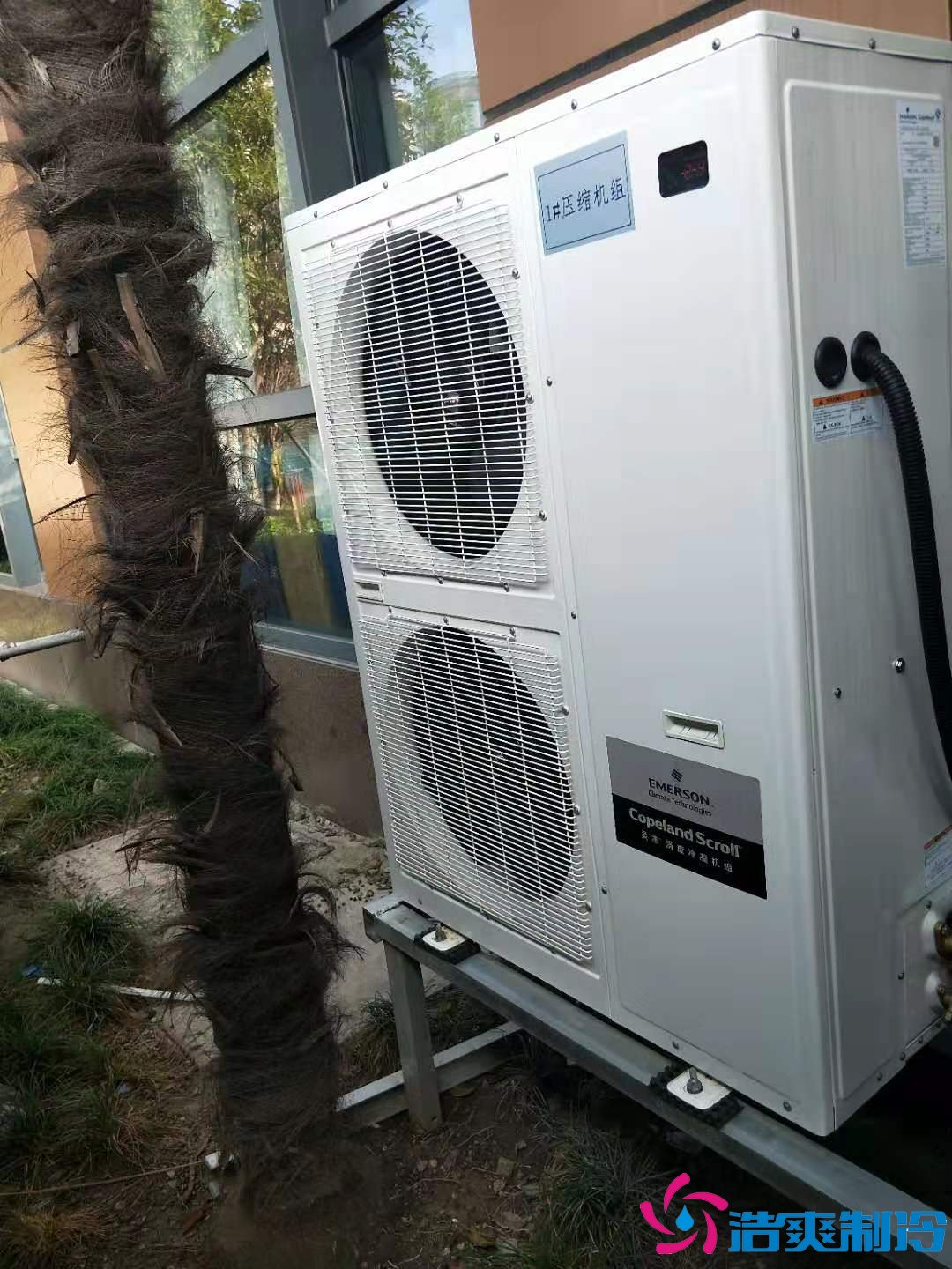 上海基因生物1000m3生物制品冷庫（冷凍、冷藏）新建工程案例