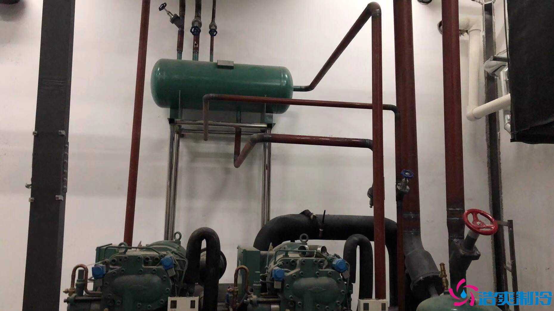 天津真功夫連鎖餐飲建造7000m3冷藏、冷凍庫新工程案例