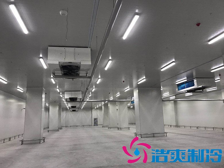 港口冷鏈冷庫市場趨勢和現(xiàn)狀,萬噸港口冷鏈低溫倉儲造價預(yù)算