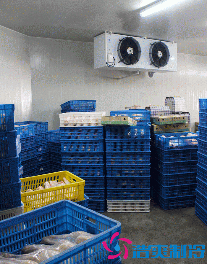 上海雞肉冷庫、雞排冷凍庫