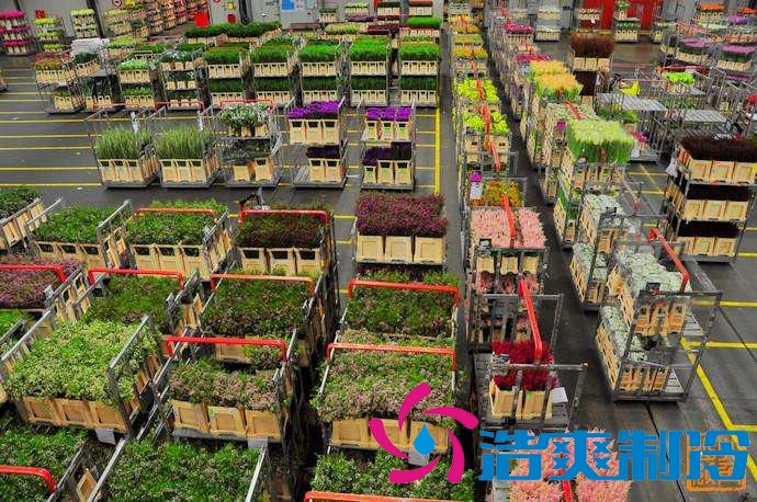 上海1000㎡花卉恒溫庫安裝設(shè)備需要多少錢