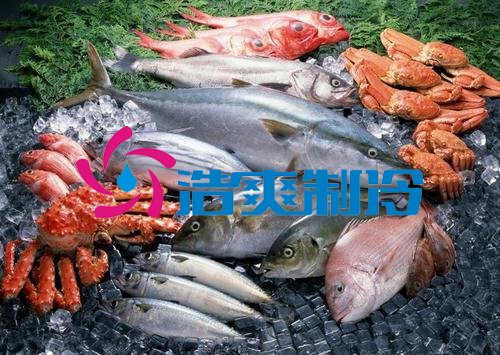 浩爽制冷，海鮮冷凍庫(kù)、食品冷凍庫(kù)