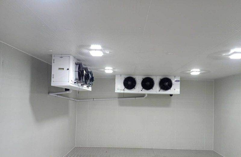 浩爽制冷，板栗保鮮冷庫(kù)